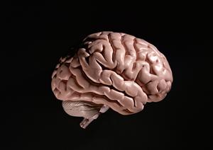 都筑区でピルを処方して貰える病院