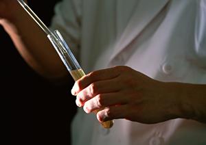 石神井台で胃カメラ検査を受けるなら