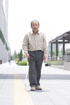 【動物病院北九州】専門的診療にも対応のパル動物病院